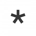 Black asterisk logo for exhibition